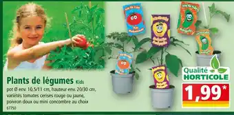 Norma Plants de légumes Kids offre