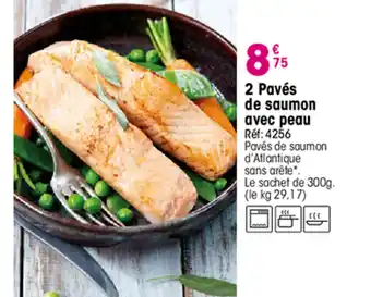 Croque Gel 2 Pavés de saumon avec peau offre