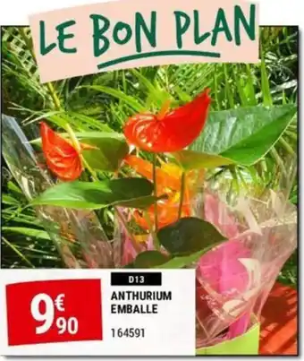 Gamm vert ANTHURIUM EMBALLE offre