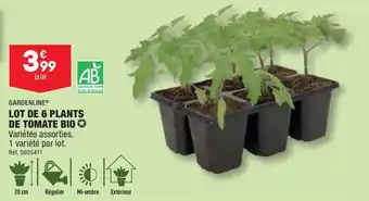 ALDI LOT DE 6 PLANTS DE TOMATE BIO✪ offre