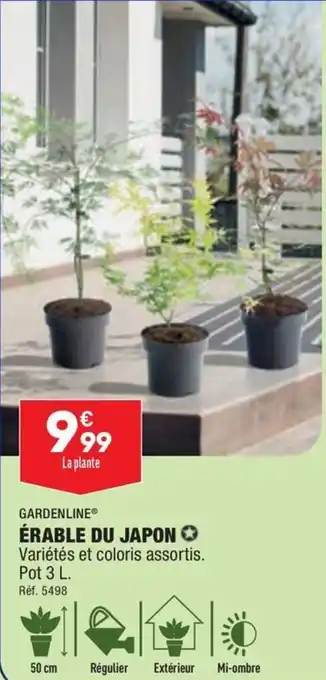 ALDI ÉRABLE DU JAPON offre