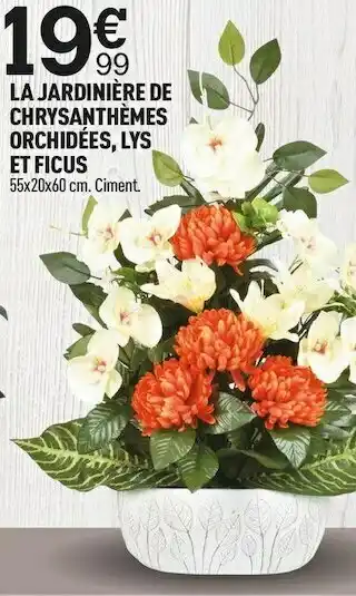 Centrakor La jardinière de chrysanthèmes orchidées, lys et ficus offre