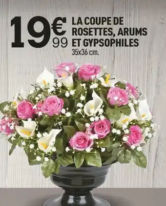 Centrakor La coupe de rosettes, arums et gypsophiles offre
