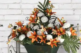 Centrakor La jardinière de lys et oeillet offre