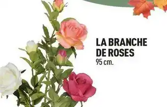 Centrakor La branche de roses offre