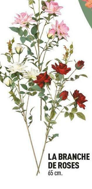 La branche de roses
