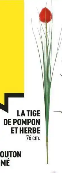 La tige de pompon et herb