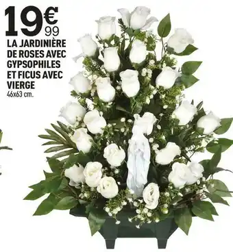 Centrakor La jardinière de roses avec gypsophiles et ficus avec vierge offre