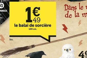 Centrakor Le balai de sorcière offre