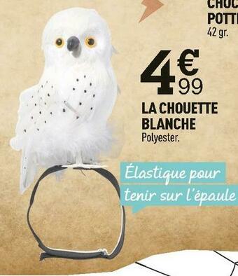 Centrakor La chouette blanche offre