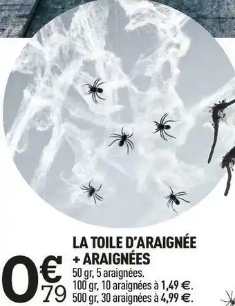 La toile d’araignée + araignées