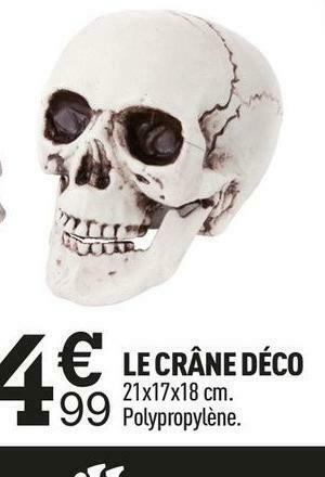 Centrakor Le crâne déco offre