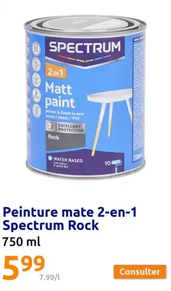 Action Peinture mate 2-en-1 Spectrum Rock offre