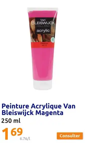 Action Peinture Acrylique Van Bleiswijck Magenta offre