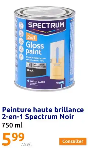 Action Peinture haute brillance 2-en-1 Spectrum Noir offre