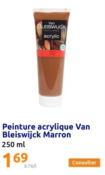 Action Peinture acrylique Van Bleiswijck Marron 250 ml offre