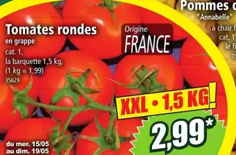 Norma Tomates rondes offre