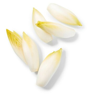 Match Endive offre