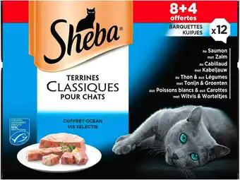 Match Sheba barquettes pour chat offre