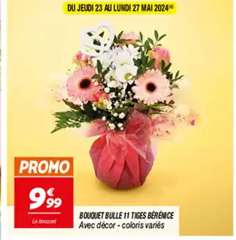 Netto BOUQUET BULLE 11 TIGES BÉRÉNICE offre