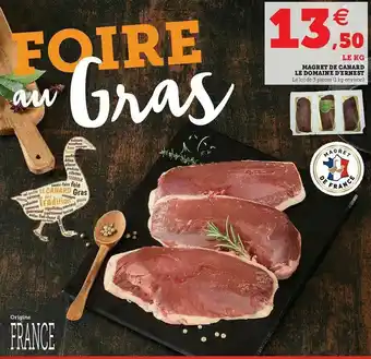 Hyper U Magret De Canard Le Domaine D'ernest offre