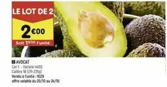 Avocat