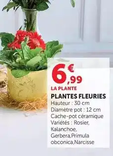Carrefour Renova - papier hygiénique offre
