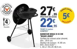 Carrefour Paradis glaces - sorbet plein fruit offre