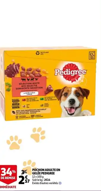 Auchan Pochon adulte en gelée pedigree offre