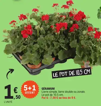 E.Leclerc GERANIUM offre