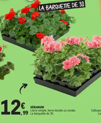 E.Leclerc GÉRANIUM offre