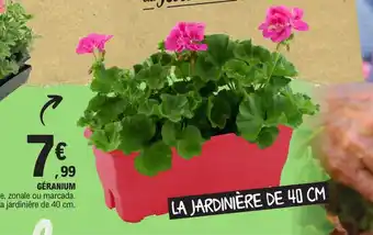 E.Leclerc GÉRANIUM offre