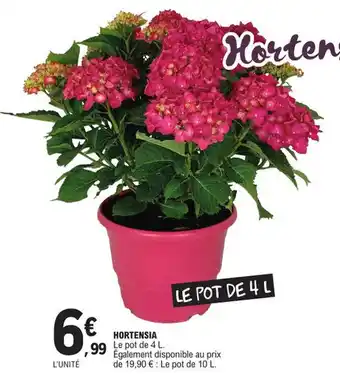 E.Leclerc HORTENSIA offre