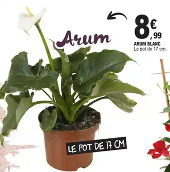 E.Leclerc ARUM BLANC offre