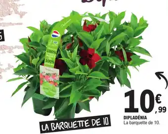 E.Leclerc DIPLADÉNIA offre