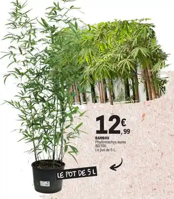 E.Leclerc BAMBOU offre