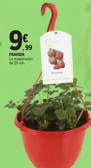 E.Leclerc FRAISIER offre