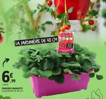 E.Leclerc FRAISIER CHARLOTTE offre