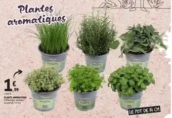 E.Leclerc PLANTE AROMATIQUE offre