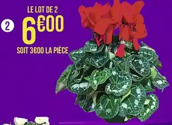 Casino Supermarchés Cyclamen offre