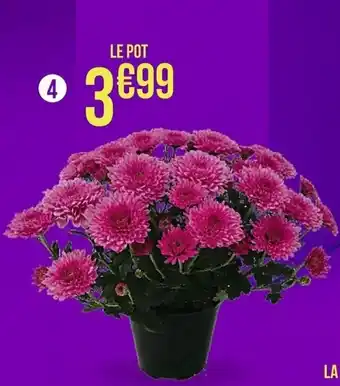 Casino Supermarchés Chrysanthèmes offre