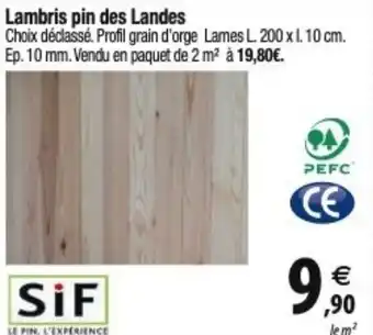 Tridôme Lambris pin des Landes offre