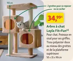 G20 Socopa - 4 brochettes de bœuf extra tendre offre