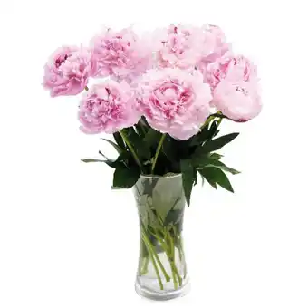 Auchan Bouquet De 10 Pivoines offre