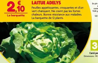 Point Vert LAITUE ADELYS offre