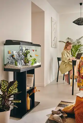 Jardiland Aquarium pour poisson Tropical 80 noir Pure Family offre
