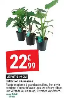 Auchan Castrol - huile edge 5w-30 ll offre
