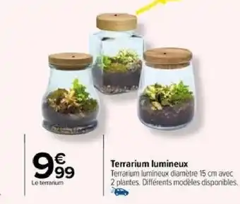 Carrefour Terrarium lumineux offre