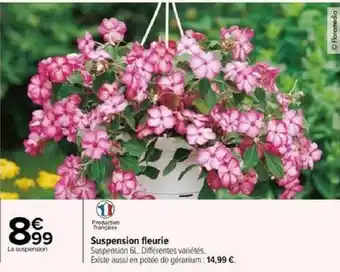 Carrefour Suspension fleurie offre