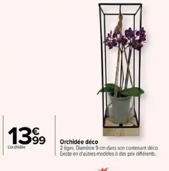 Carrefour Orchidée déco offre